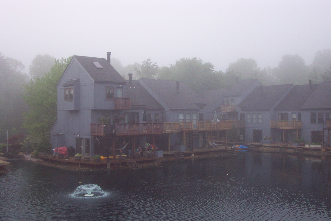 Foggy West Pond